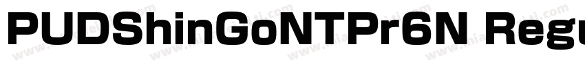 PUDShinGoNTPr6N Regular字体转换